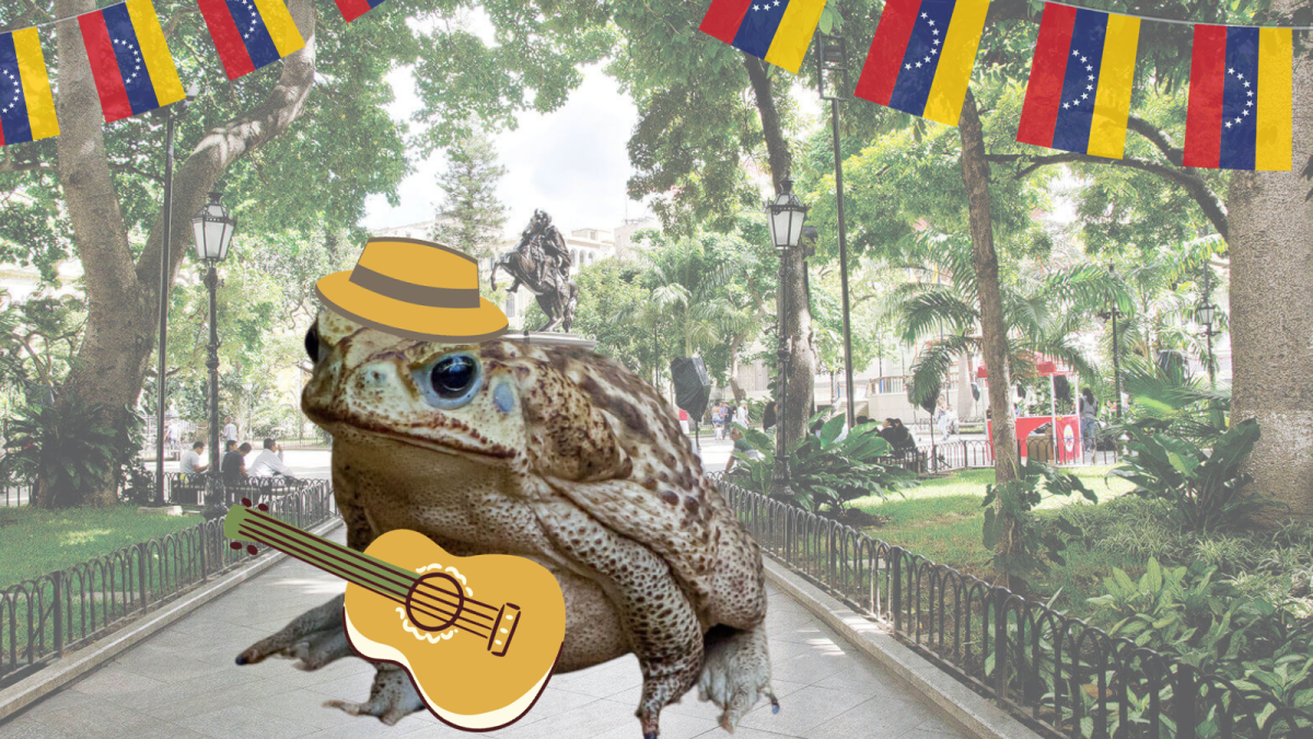 El Sapo, the unhelpful Venezuelan toad dad | Interlochen Public Radio